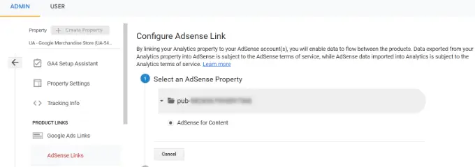 Select your AdSense property