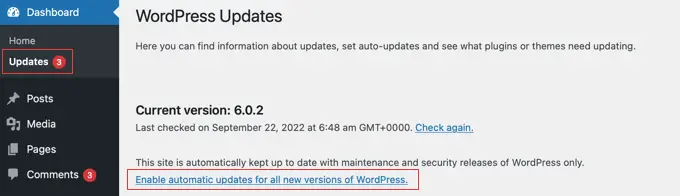 Enable Automatic WordPress Updates