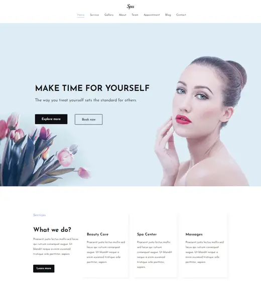 เทมเพลต Zakra Spa WordPress