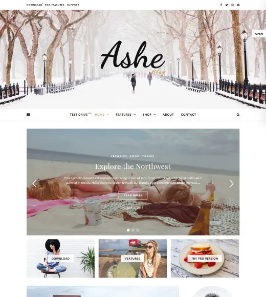 Ashe الأكثر شعبية Free WordPress Theme