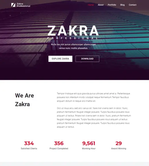 Zakra Professional