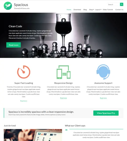 Spazioso Uno dei migliori temi WordPress gratuiti