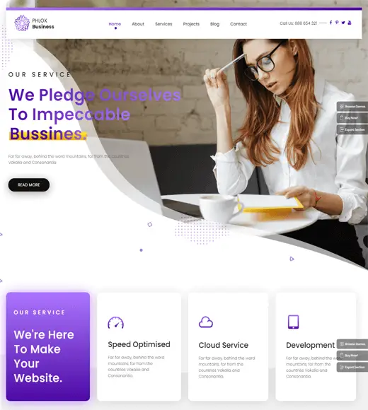 عرض موضوع Phlox WordPress