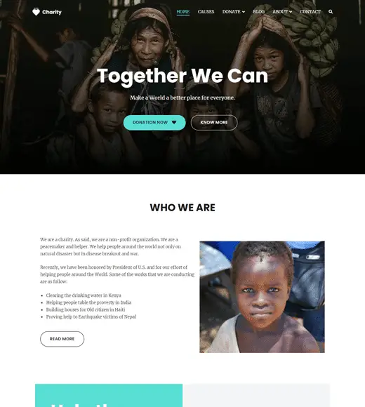 Zakra Charity WordPress Teması