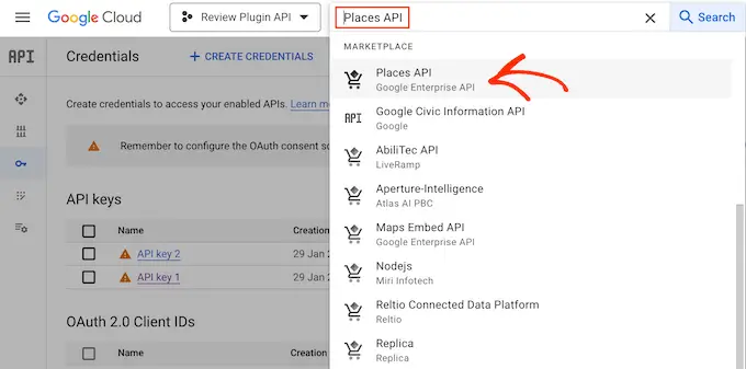 Enabling the Google Places API 