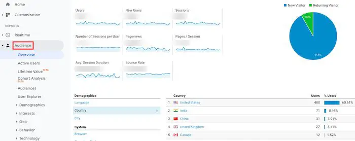 Tab audiens analitik Google.