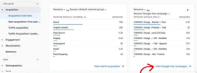 View session google ads campaign report