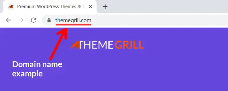 مثال على اسم المجال "ThemeGrill.com"