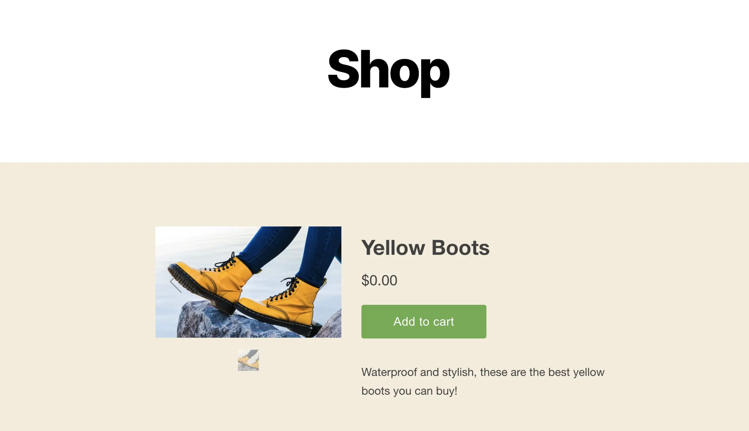 anteprima dell'integrazione WordPress di Shopify