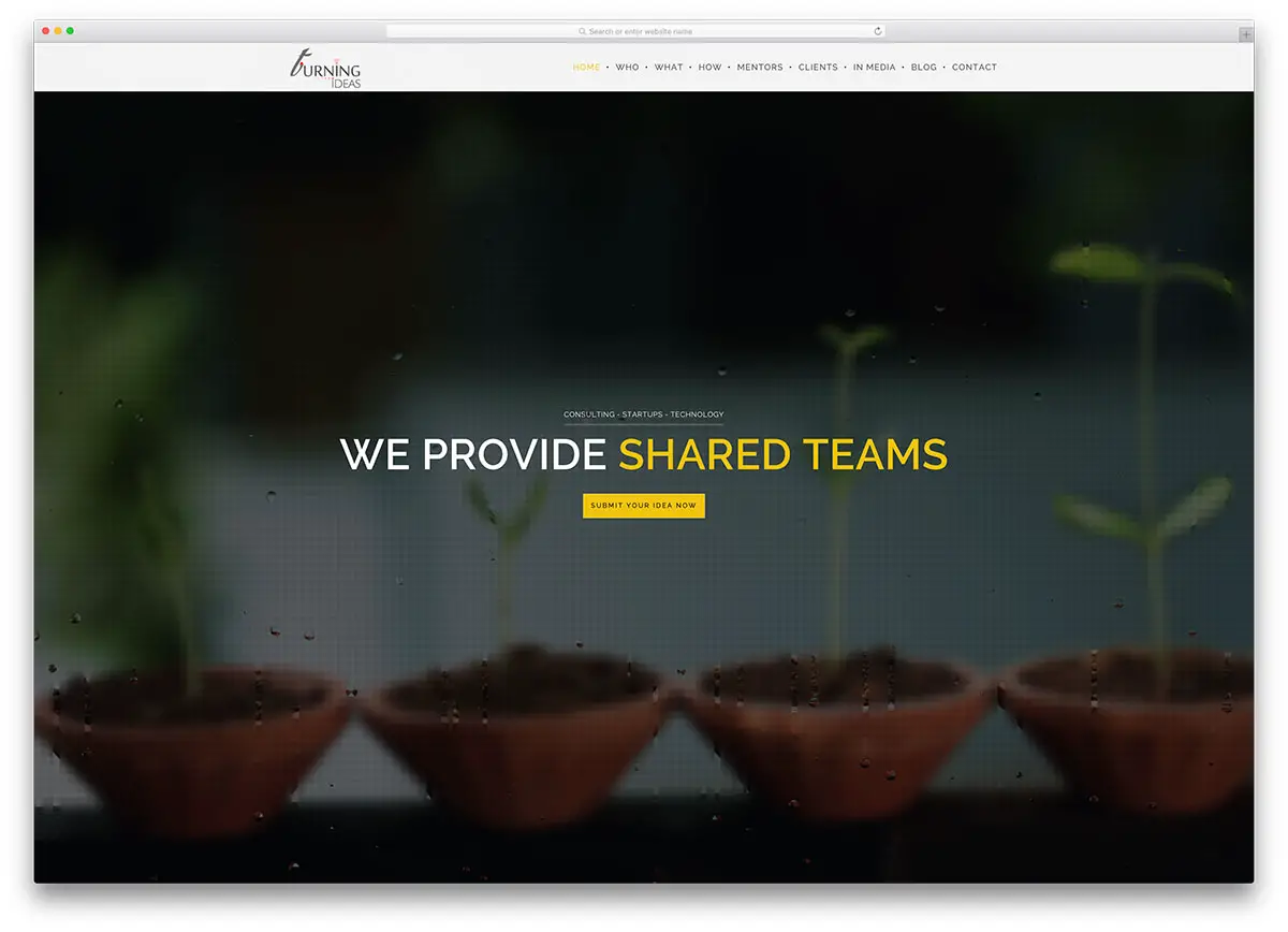 Turnideas-creative-website-with-wordpress