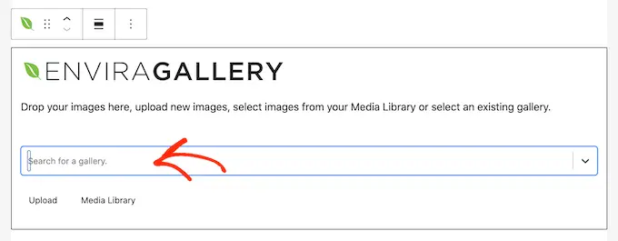 Publishing an image gallery to your website or blog