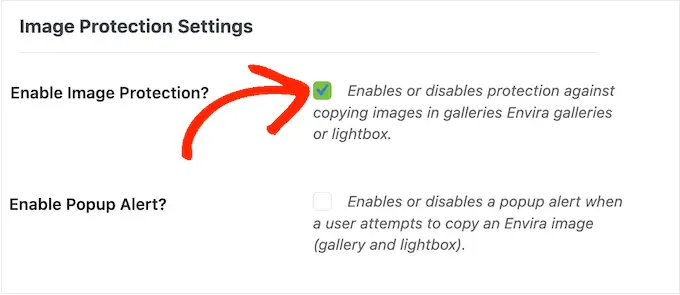Enabling image protection for your image galleries