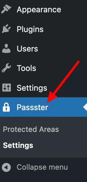 El menú de Passster en la interfaz de administración de WordPress.