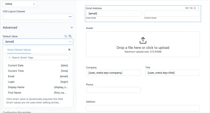 Customizing the Email Address Field Options