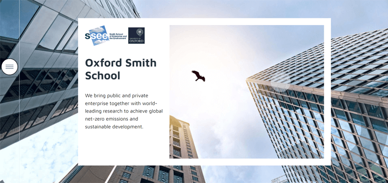 Oxford Smith School - Tipos de sitios web