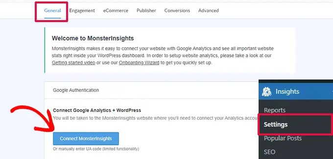 Connect MonsterInsights