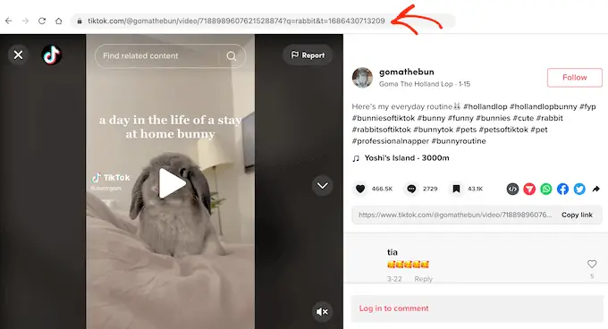 Hinzufügen eines TikTok-Videos zu einer Seite oder einem Beitrag mit dem WordPress-Blockeditor