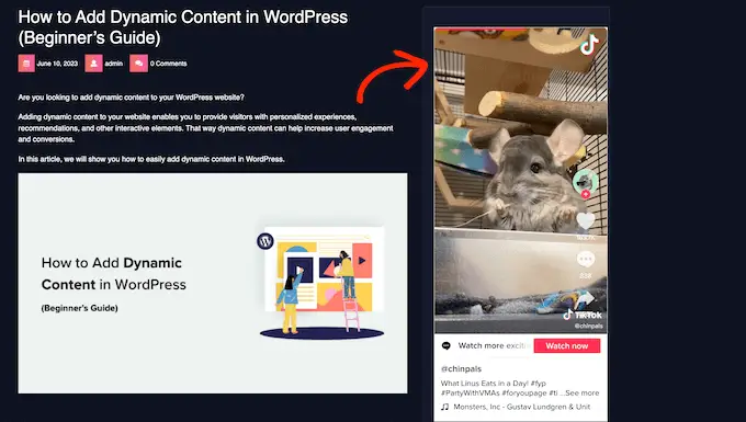 WordPress 웹사이트에 포함된 TikTok 비디오의 예