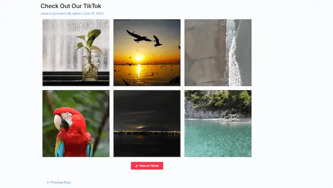 Contoh umpan TikTok, disematkan di situs web WordPress