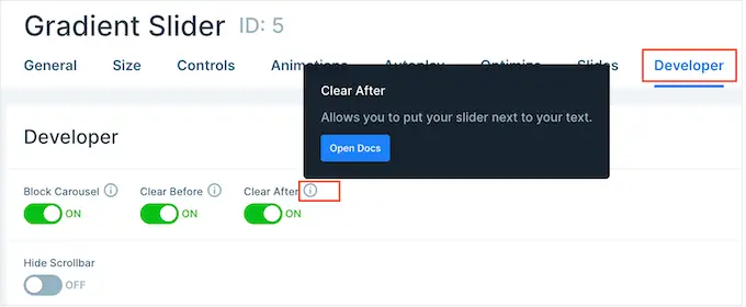 Advanced developer settings in the Smart Slider WordPress plugin