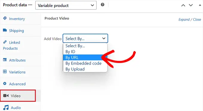 Switch to the Video tab and choose By URL option from the dropdown menu