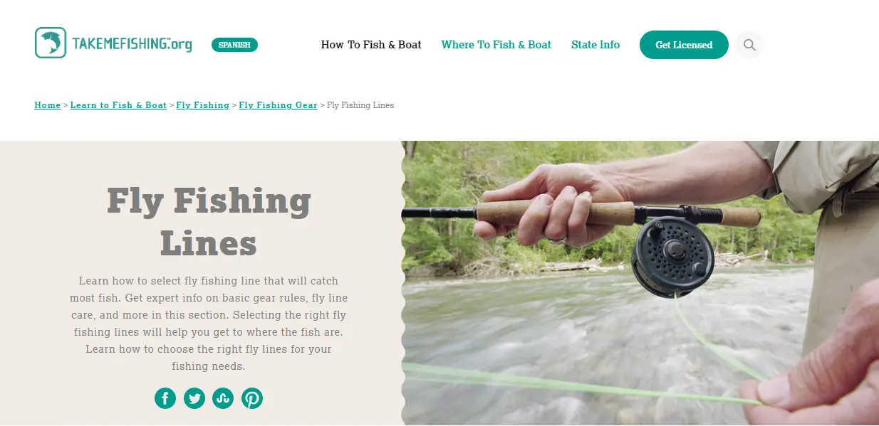 หน้า Fly Fishing Lines