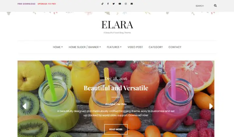 Elara 食品ブログに最適な無料 WordPress テーマ