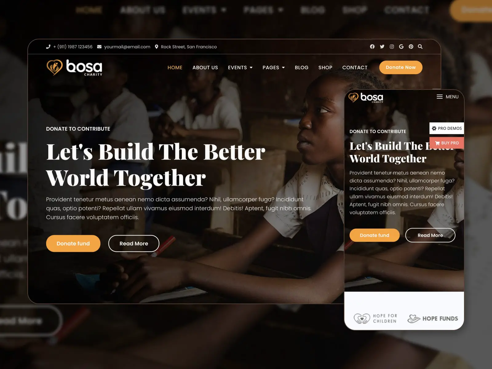 茶色、オレンジ、白の色の Bosa Charity WordPress テーマのデモのコラージュ。