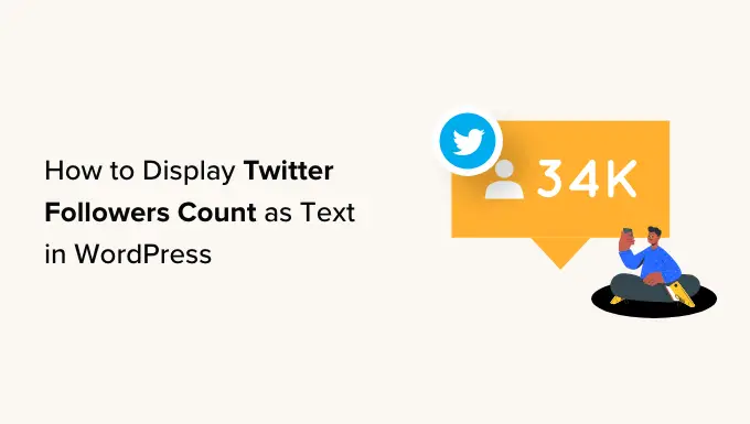 How to display Twitter followers count as text in WordPress