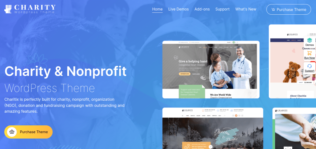 Charitix wp teması