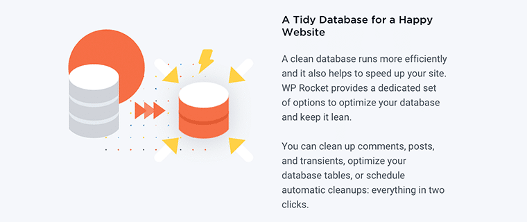 WP Rocket - Optimización de base de datos