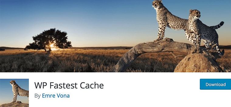 WP Fastest Cache