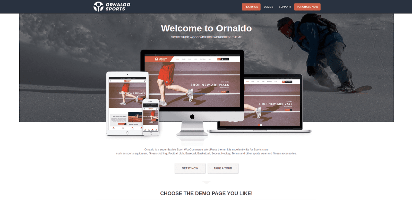 Ornaldo wp-Theme