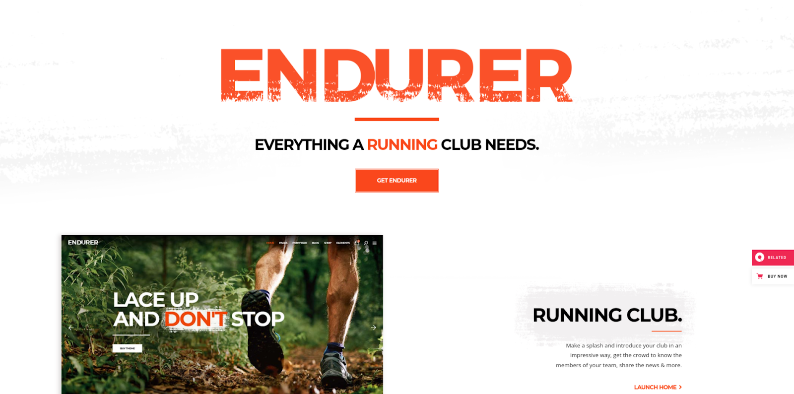 Tema wp di Endurer