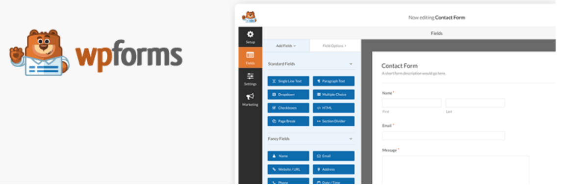 Cele mai bune pluginuri WordPress: WP Forms