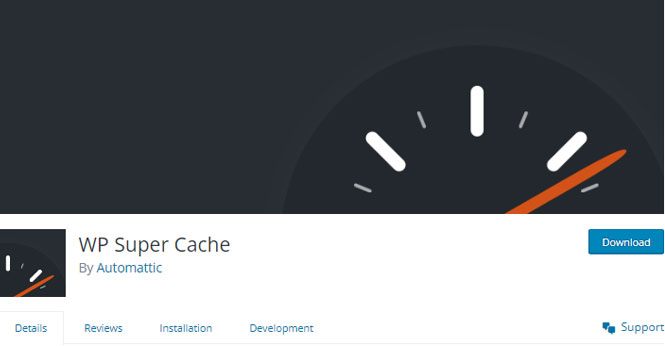 Cea mai bună temă WordPress - WP Super Cache