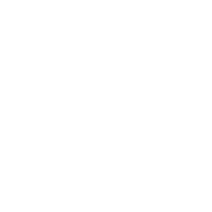 Логотип WP Rocket