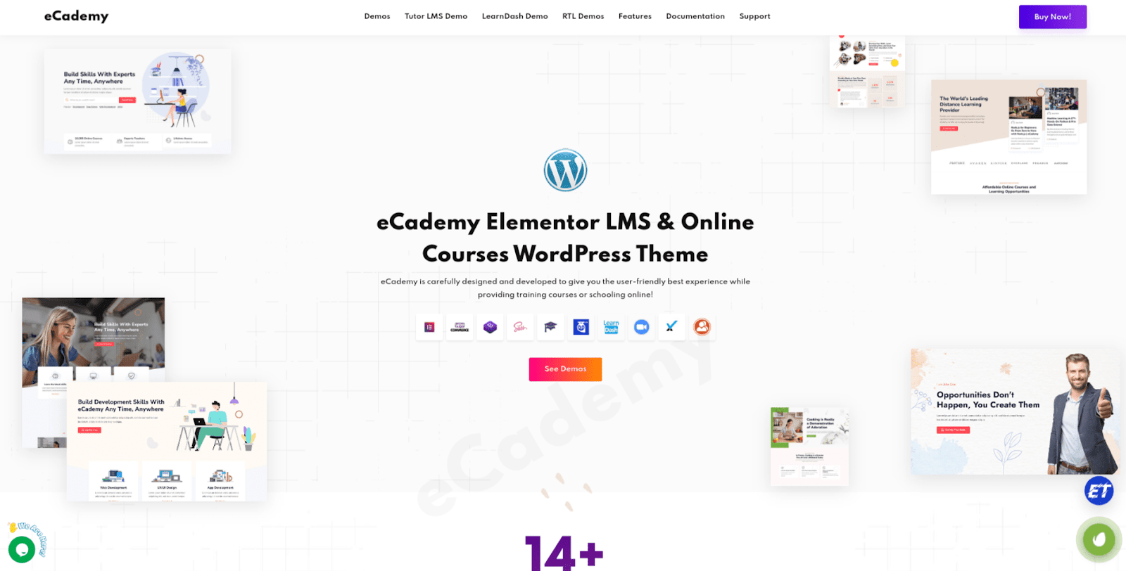 eCademy wp 테마