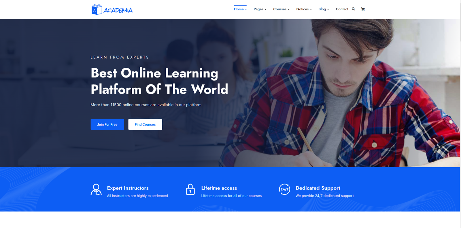 Temas WordPress da Academia