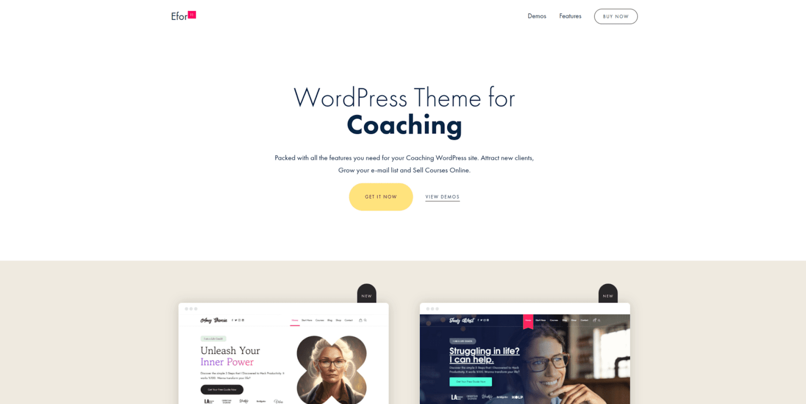 Efor wp-Theme