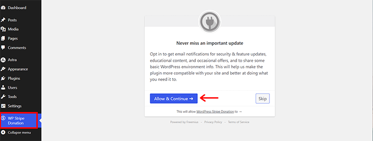 單擊“允許並繼續”選項 - 在 WordPress 網站上接受捐贈