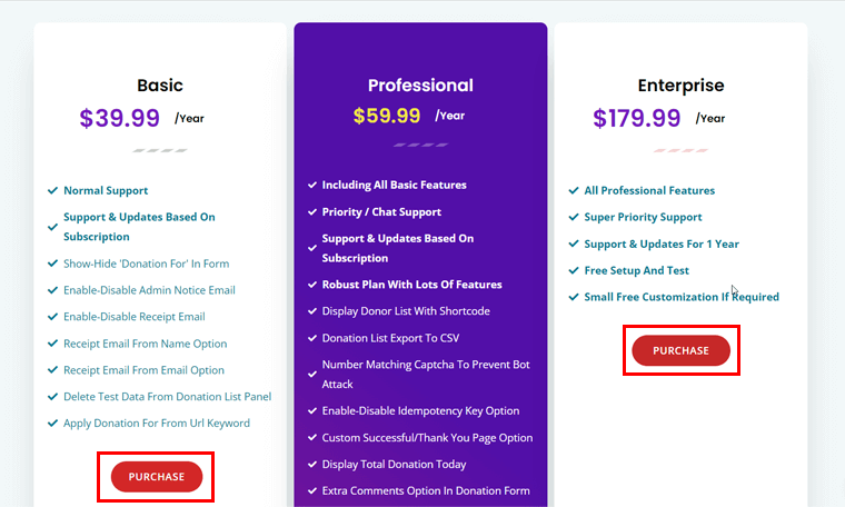 Seçtiğiniz Fiyatlandırma Seçeneklerinin Satın Alma Düğmesine tıklayın - WordPress Sitesinde Bağışları Kabul Edin