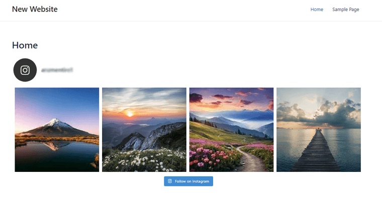 Esempio di feed Instagram sul sito web