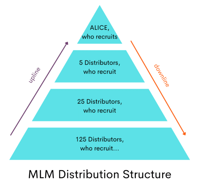 Struktura dystrybucji MLM