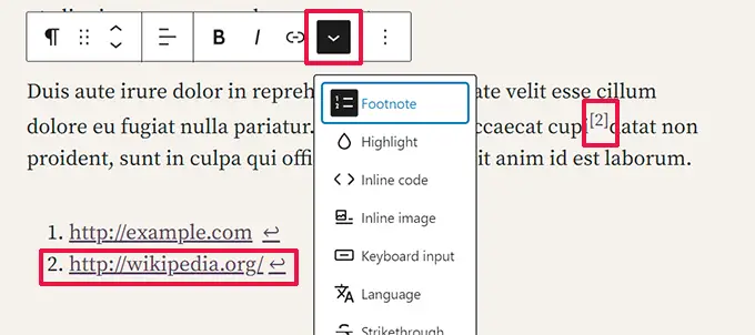 Adding footnotes in WordPress 6.3