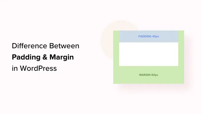 Difference between padding and margin in WordPress