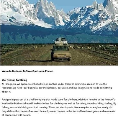 Пример бизнес-плана: заявление о миссии Patagonia