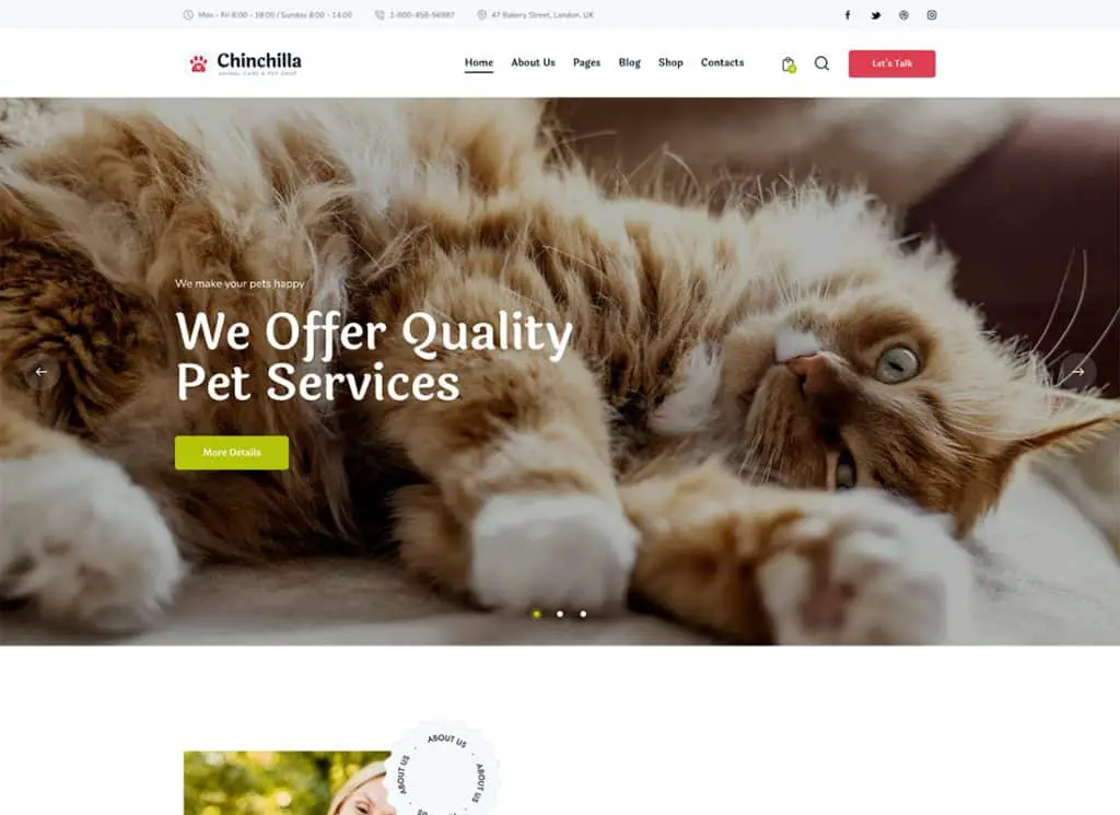 Chinchilla - 動物照護和寵物店 WordPress 主題