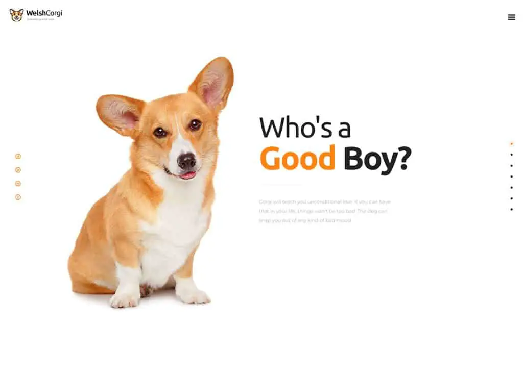 Welsh Corgi - Tema WordPress Pembibitan dan Penjualan Anjing