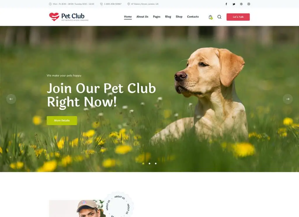 Pets Club – WordPress-Theme für Tierhandlung und Tierzucht